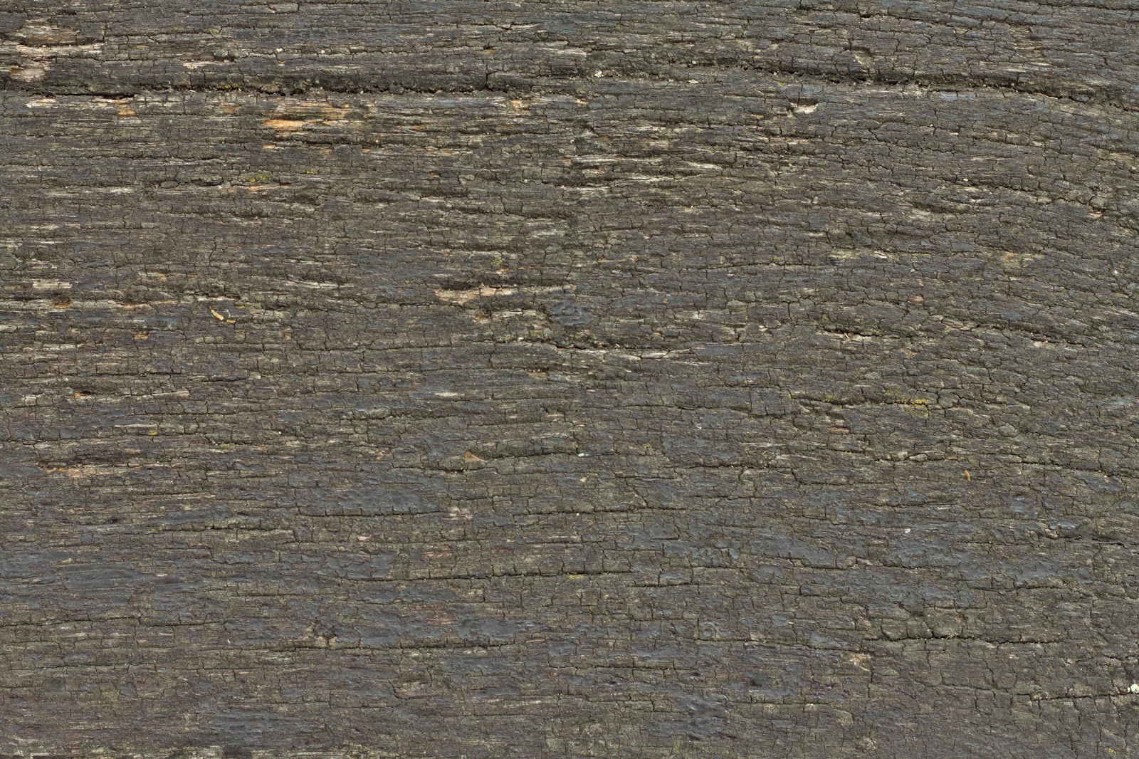 Wood dry cracked bench plank tree bark texture ver 16