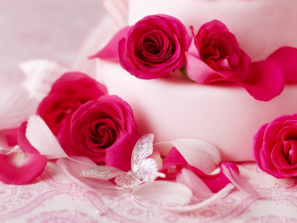Beautiful Wallpaper Pretty Red Flower Wallpapers