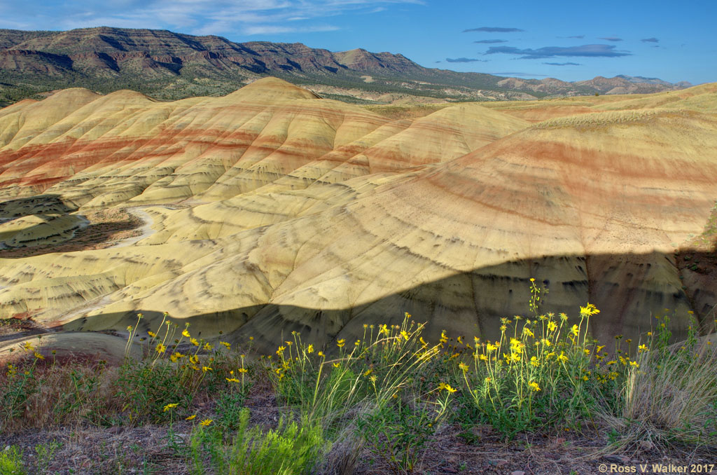Red Hill Painted Hills Oregon Red Hill Painted Hills Oregon