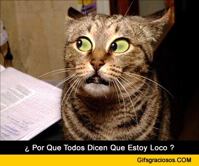 Imagenes Lindas Para Compartir Fb: Gifs Graciosos De Gatos Para Compartir