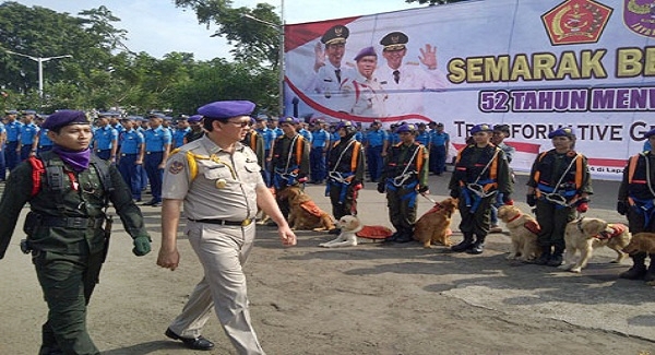 Sekolah Tinggi Ilmu Pemerintahan Abdi Negara Sekolah Tinggi Ilmu Pemerintahan Abdi Negara
