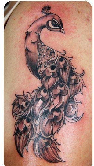 best peacock tattoos best peacock tattoos designs ideas