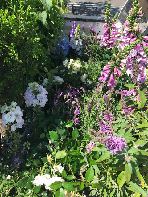 French Country Friday Cottage Garden Favorites And Joining These Ladies Who Are Sharing Some Of Their Favorites As Well French Country