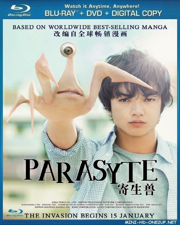 My Image 33