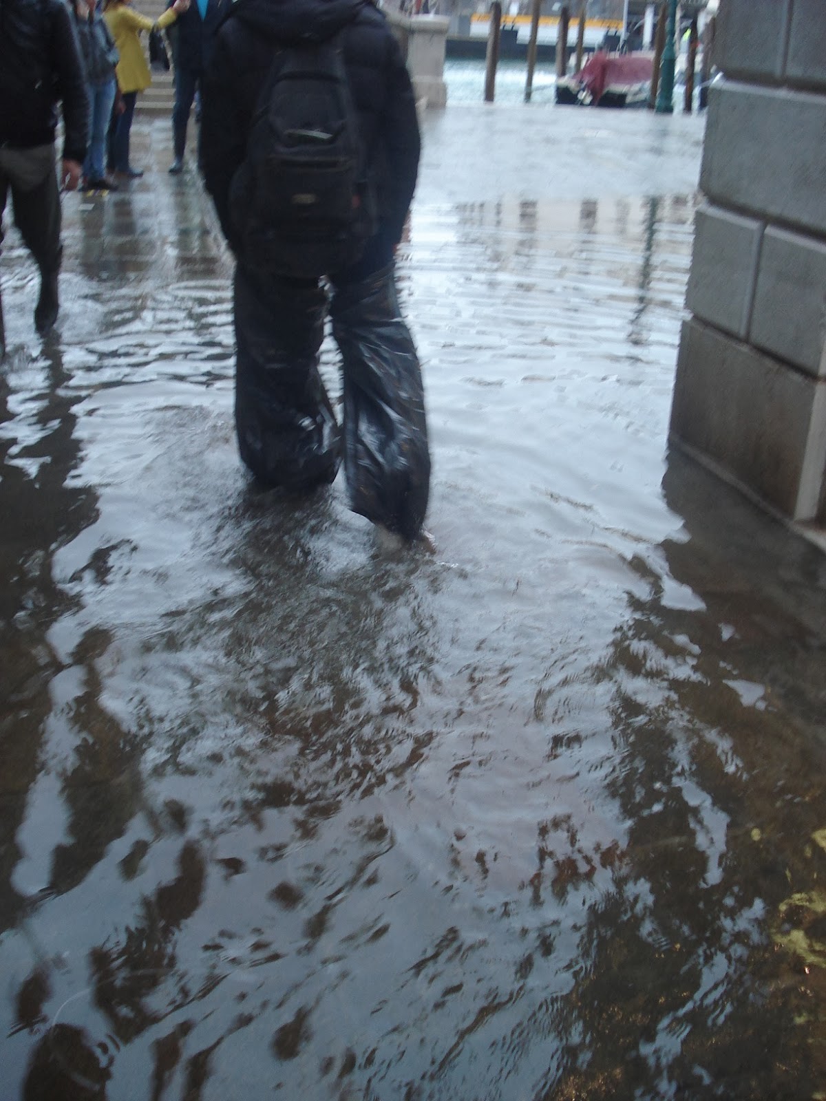 high-tide-today-in-venice-forum-archinect