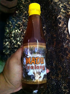 Cara Menumbuhkan Rambut Dengan Madu