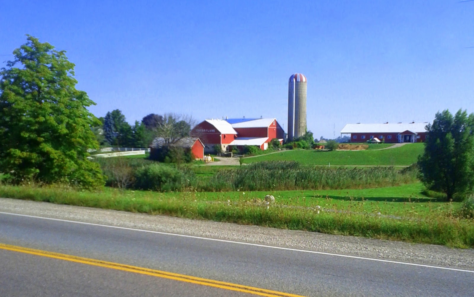 TōnFerns A Nostalgic Journey (Tony Fernandes) Farms in Township of