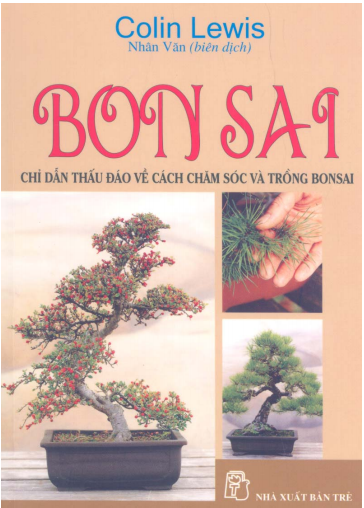Bonsai - Chỉ dẫn thấu đáo về cách chăm sóc và trồng bonsai