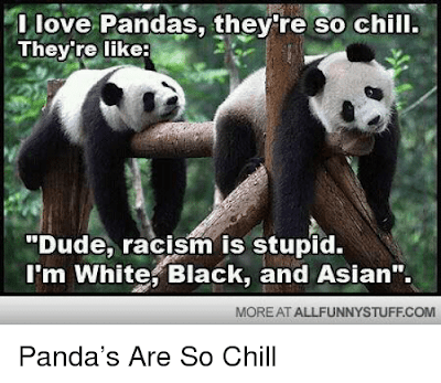 A picture of two pandas with text that reads:  "I love pandas, they're so chill.  They're like: "Dude, racism is stupid. I'm White, Black, and Asian."  At the bottom, it also says, "Panda's are so chill."