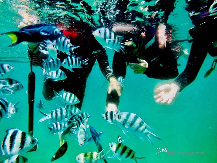 Ke Sabah kita - Pulau Sapi dan Pulau Manukan Ke Sabah kita - Pulau Sapi dan Pulau Manukan