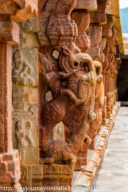 Yali Pillars at Bhoga Nandeeshwara Temple