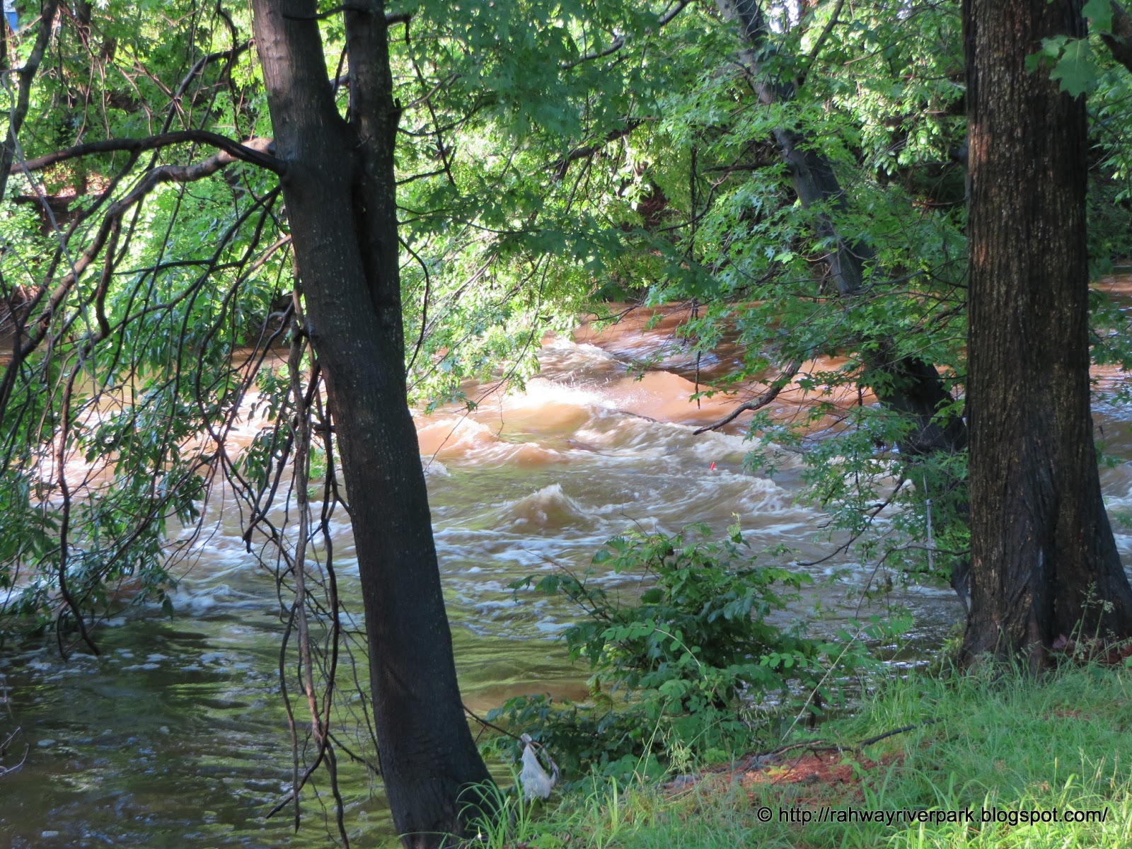 4 seasons in the life of rahway river park