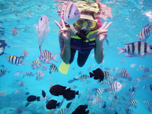 snorkeling di pantai iboih foto pantai indah indonesia pantai iboih