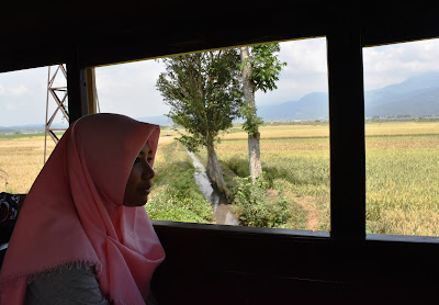 teteh-rafa-menikmati perjalanan-dan-pemandangan-alam naik kereta wisata sejarah di museum kereta api ambarawa indonesia diesel uap traveling nurul sufitri mom lifestyle blogger