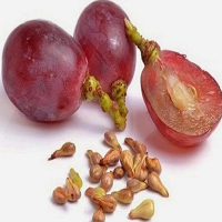 15 Daftar Buah Mengandung Racun Berbahaya Yang Dapat Menyebabkan Kematian Mendadak 15 Daftar Buah Mengandung Racun Berbahaya Yang Dapat Menyebabkan Kematian Mendadak