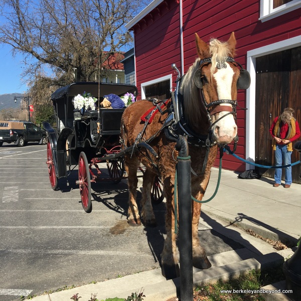 horse-drawn carriage in Upper Lake, California horse-drawn carriage in Upper Lake, California