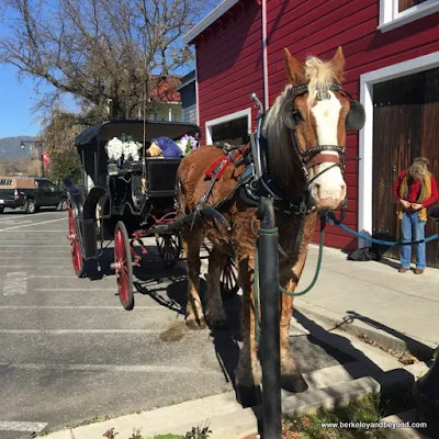horse-drawn carriage in Upper Lake, California