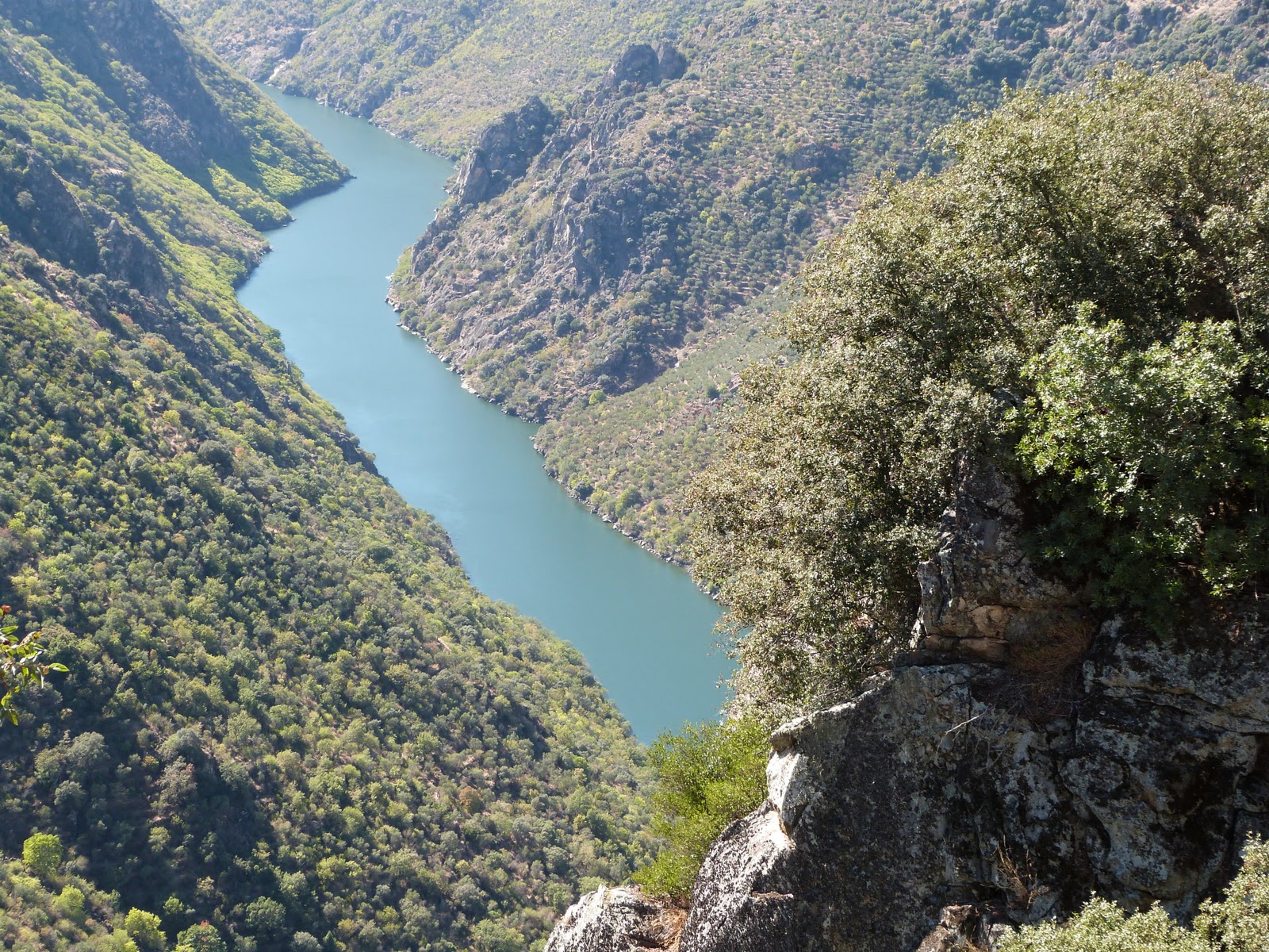 Dehesa de los Alcotanes El parque natural de Arribes del Duero