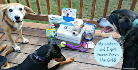 3 happy rescued dogs with a Pooch Perks box