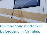 http://sciencythoughts.blogspot.co.uk/2018/04/german-tourist-attacked-by-leopard-in.html
