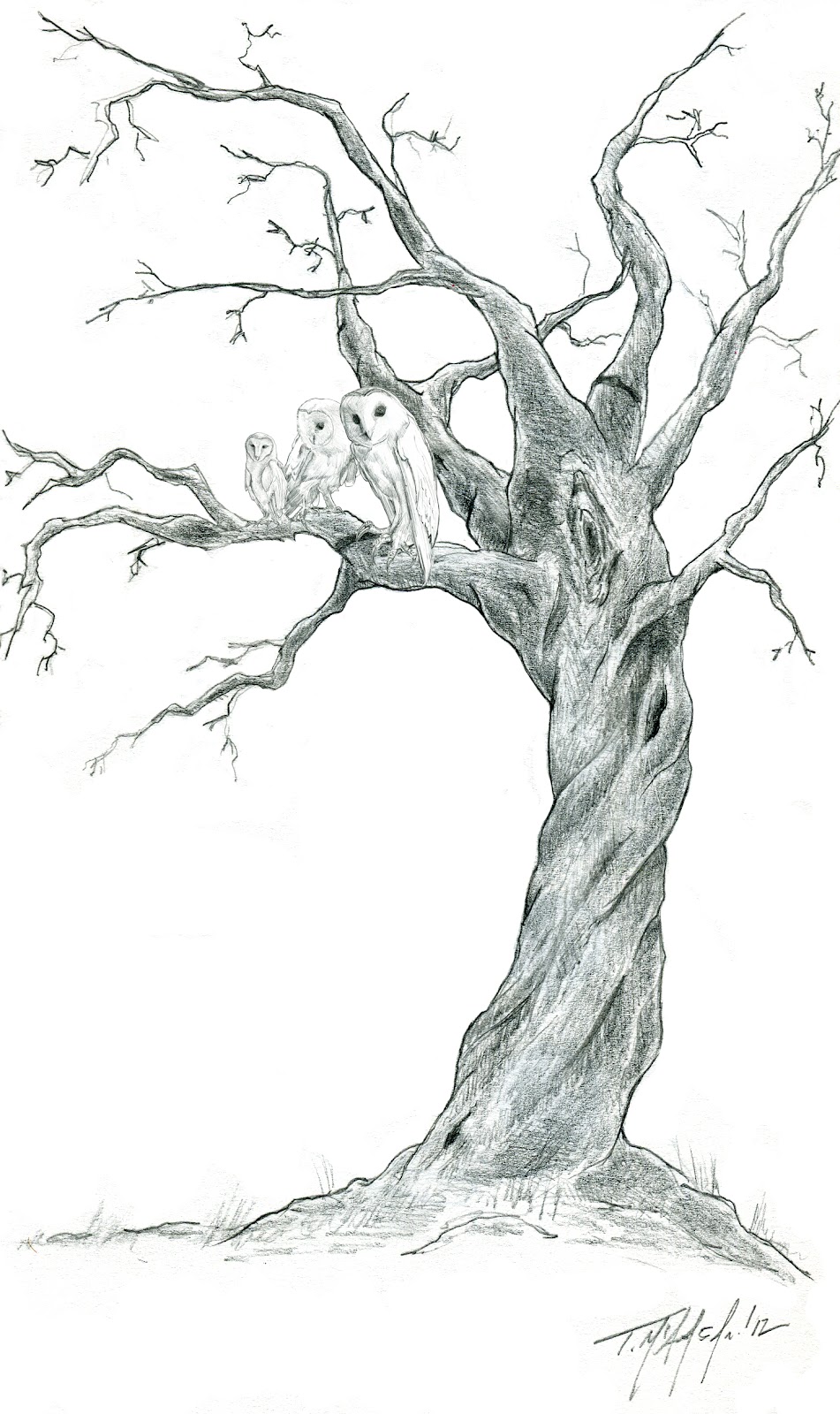 Concept to Creation: Rowan tree sketch