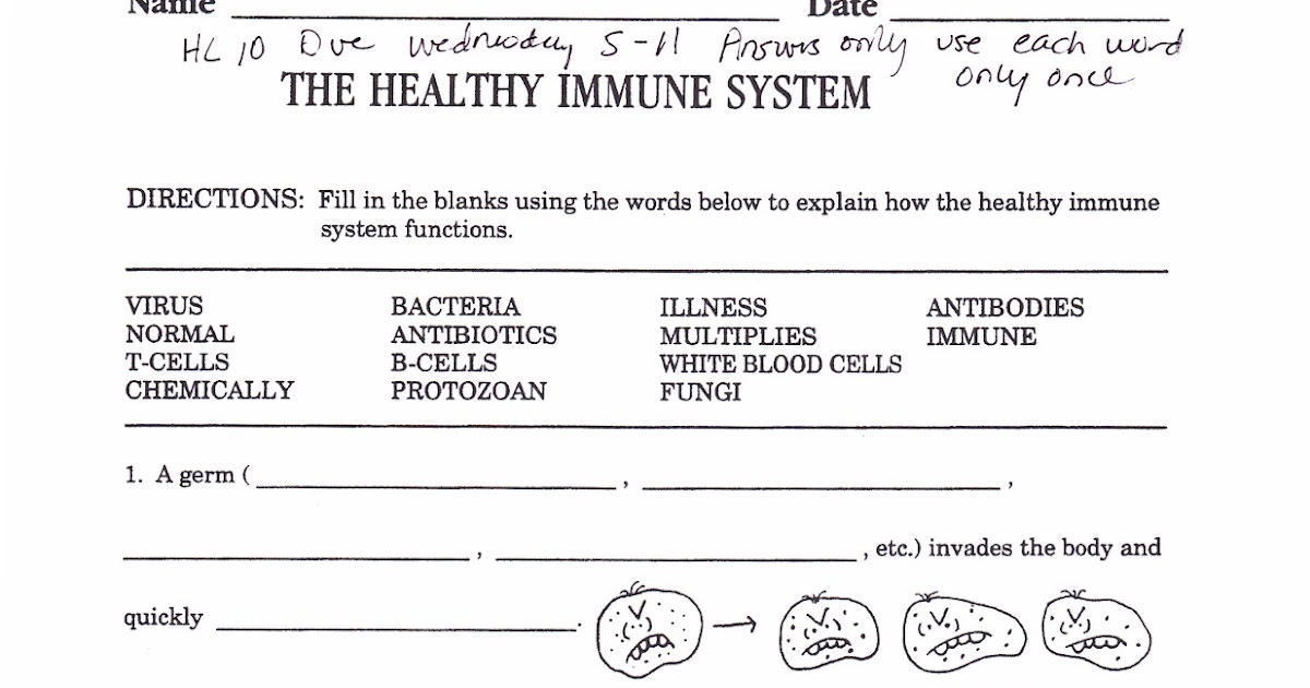 28 The Immune System Worksheet Answers - Notutahituq Worksheet Information