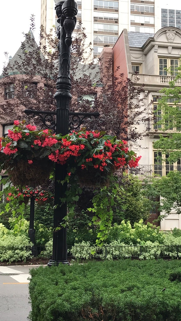 The French Tangerine hillary's new apartment and chicago