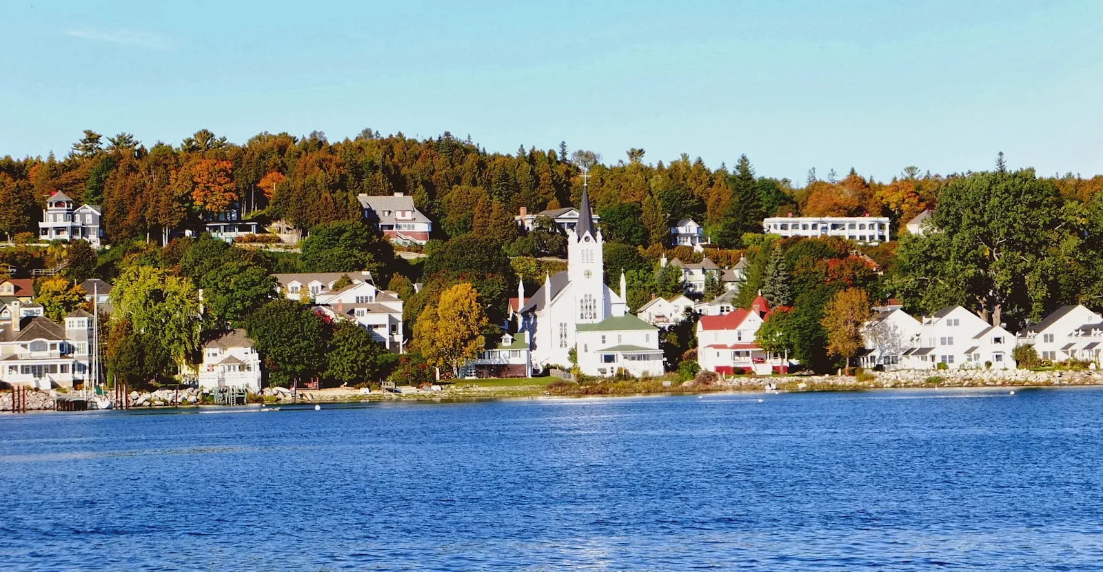 Ever feel like your indoor jungle is missing that certain something? Like it needs a touch of the extraordinary?