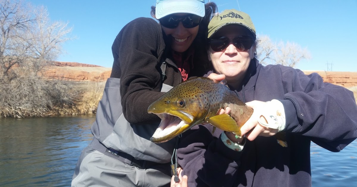 Owl Creek Flies Bighorn River, Thermopolis Fly Fishing Guide