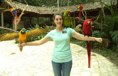 Bird Park - Guacamayas and Loros! (macaws and parrots)