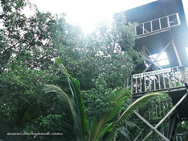 Mangrove Center Graha Indah Balikpapan