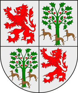 origine image : https://www.hidalgosdeespana.es/asociacion/heraldica-de-asociados/