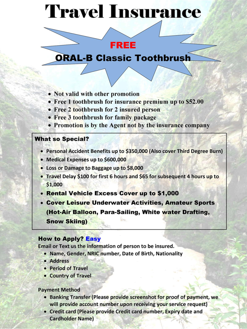 Travel Insurance Promotion