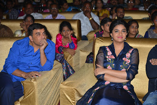 nenu local audio launch photos nenu local audio launch photos