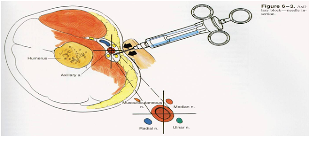 Dentistry and Medicine: May 2012