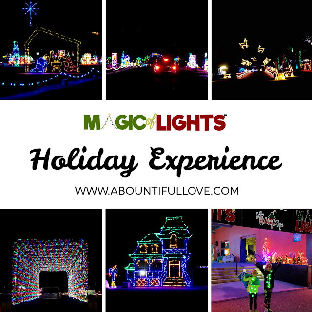 Collection 91+ Images magic of lights middleburg heights photos Excellent