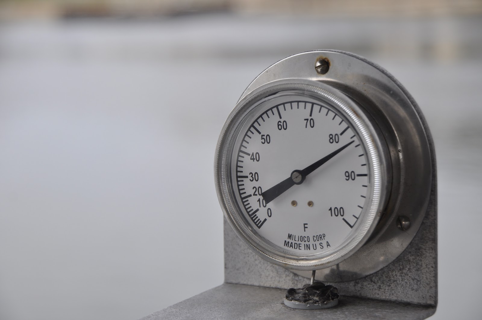 My Retiring Life: “A full-grown manatee, which can weigh more than