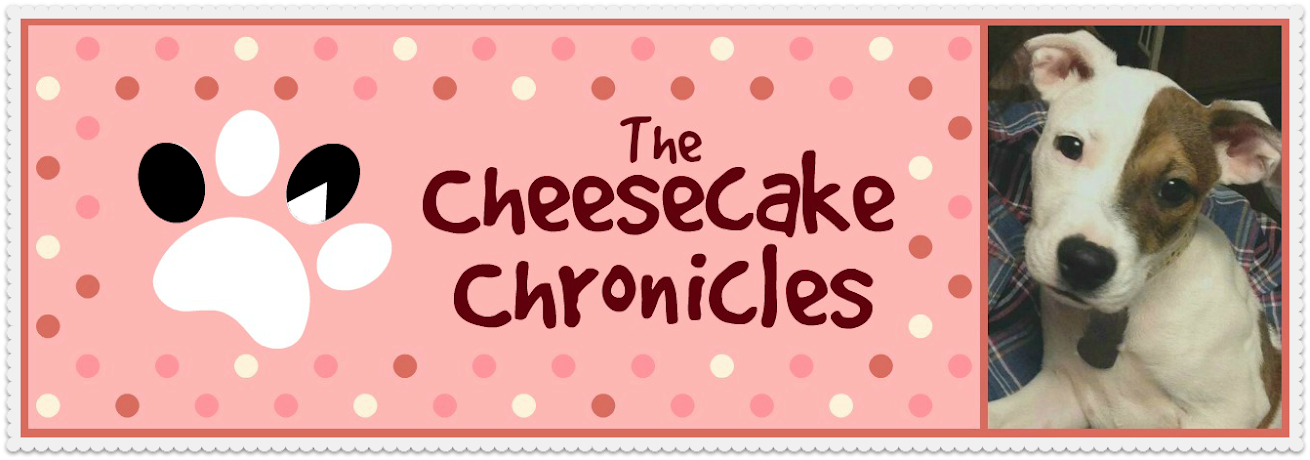 The Cheesecake Chronicles