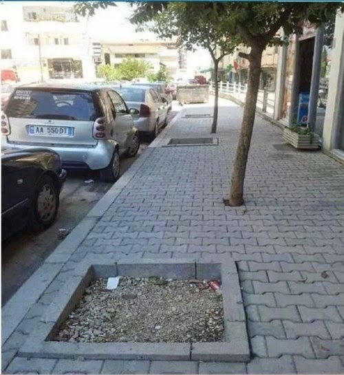 workmen working to rule as per the blueprint plans badly designed middle eastern pavement holes for trees funny fail