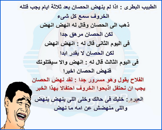خليك فى حالك خليك فى حالك