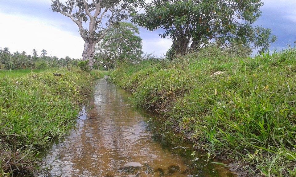 rivulet.jpg