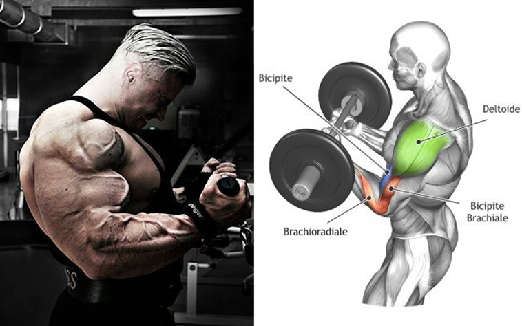 6 Bodybuilding Exercises That Build More Muscular Arms Strong Muscle When they both get stronger, increase your pace and distance. strong muscle blogger