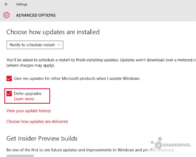 Beri tanda centang pada opsi Defer Upgrades Defer Upgrades - Cara Mudah Menonaktifkan Windows Auto Update di Windows 10 - by sharehovel