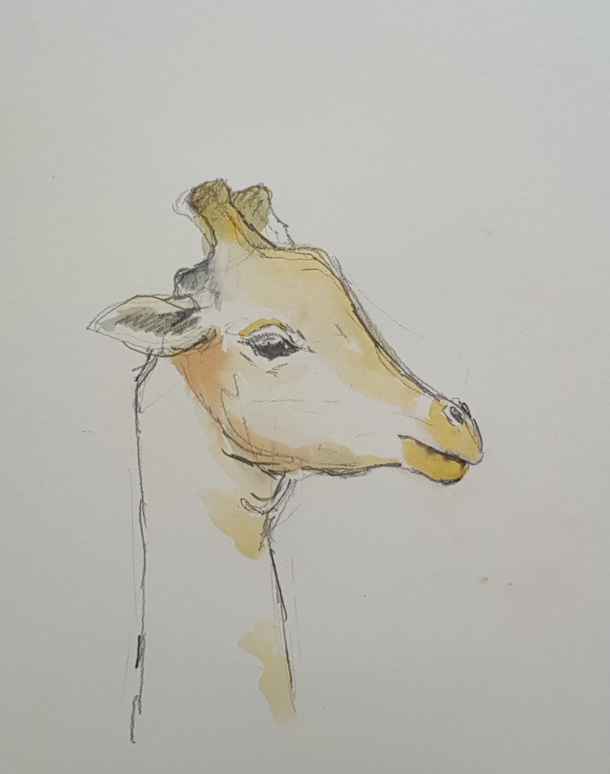 ColourCraft Gerty the Giraffe by Rebecca Yoxall