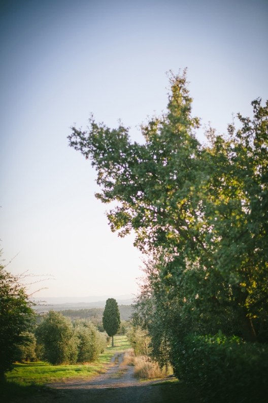 boda en la toscana