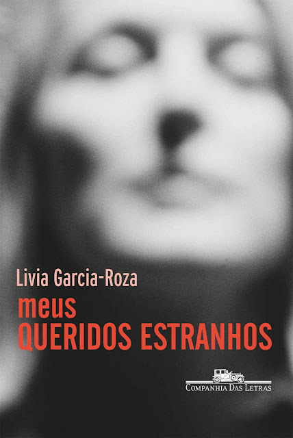 Meus queridos estranhos - Livia Garcia-Roza
