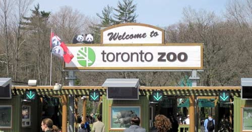 Life Is Better On Vacation The Toronto Zoo