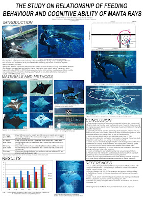 Better Posters: Critique: Manta ray thoughts