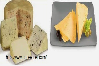 طريقة عمل الجبنة الرومى - كيفية تصنيع الجبن الرومى - مشروع الجبنة الرومى