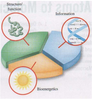 Introduction to Biochemistry, - Your Learning Point